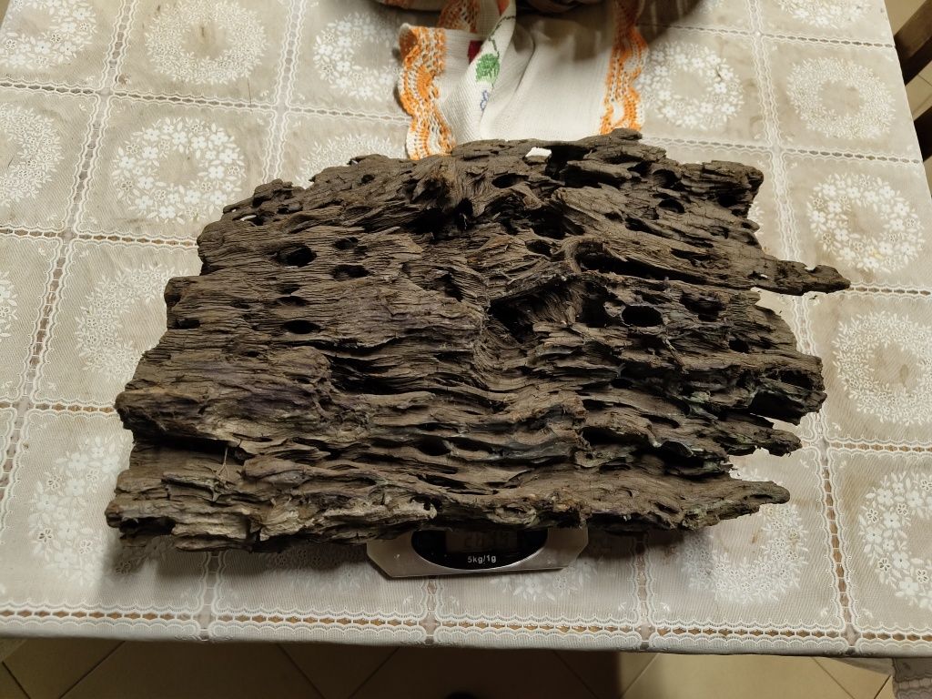 Dragon wood, 2.7 kg 40*30*10cm (CxLxEsp)