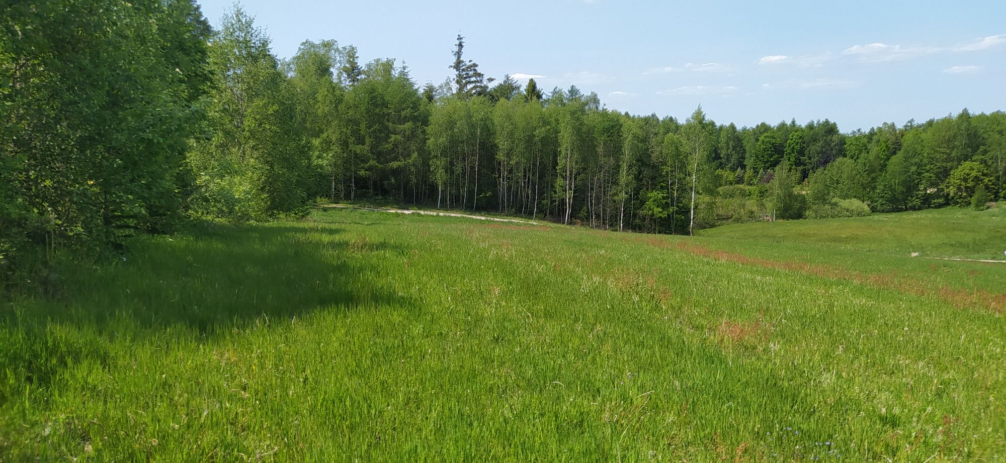 Działka budowlana, warunki zabudowy, Brodnica Górna