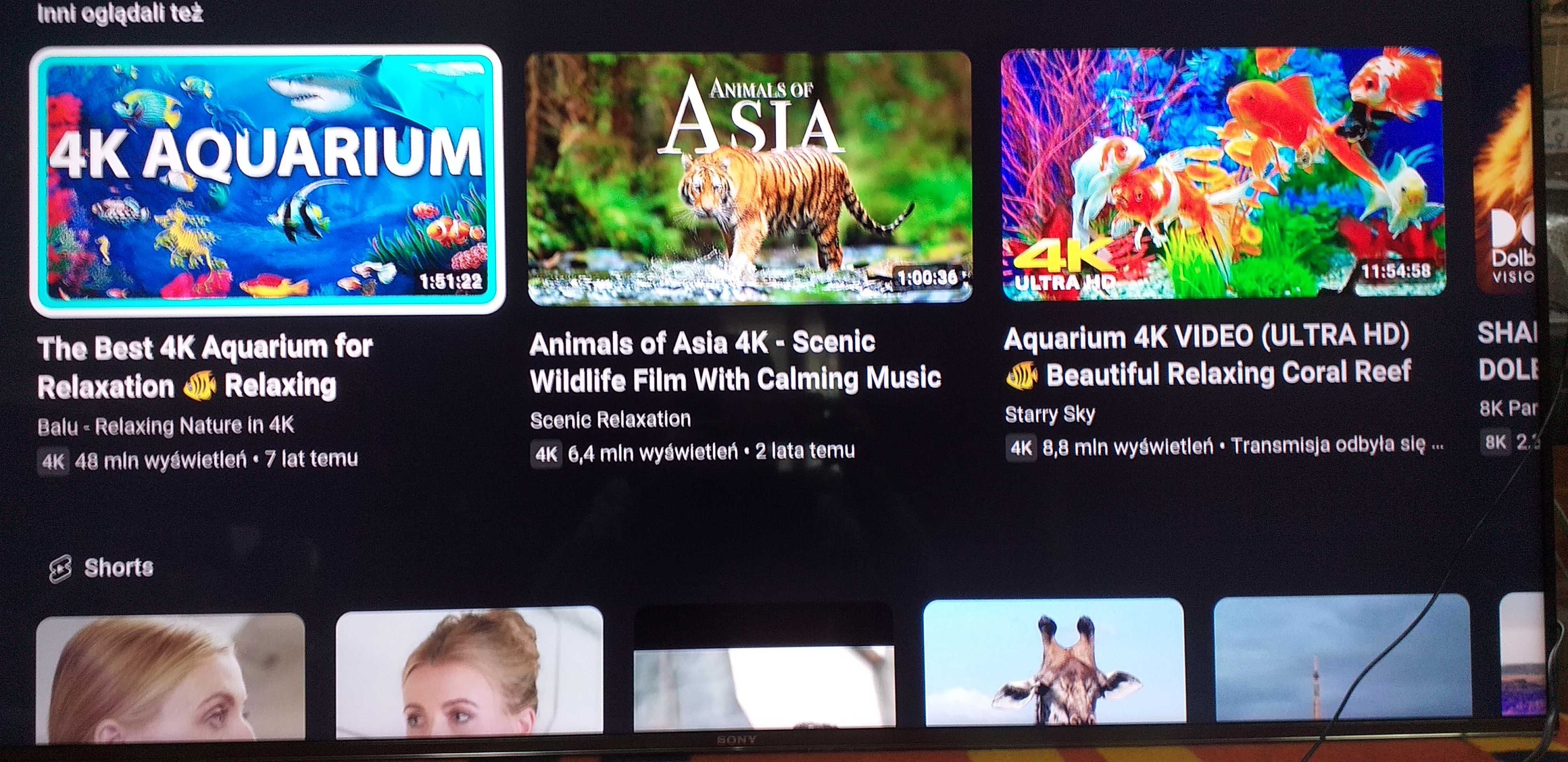SONY55" CURVED KD-55S8505C  4K UHD Android wi-fi sat Netflix Youtube