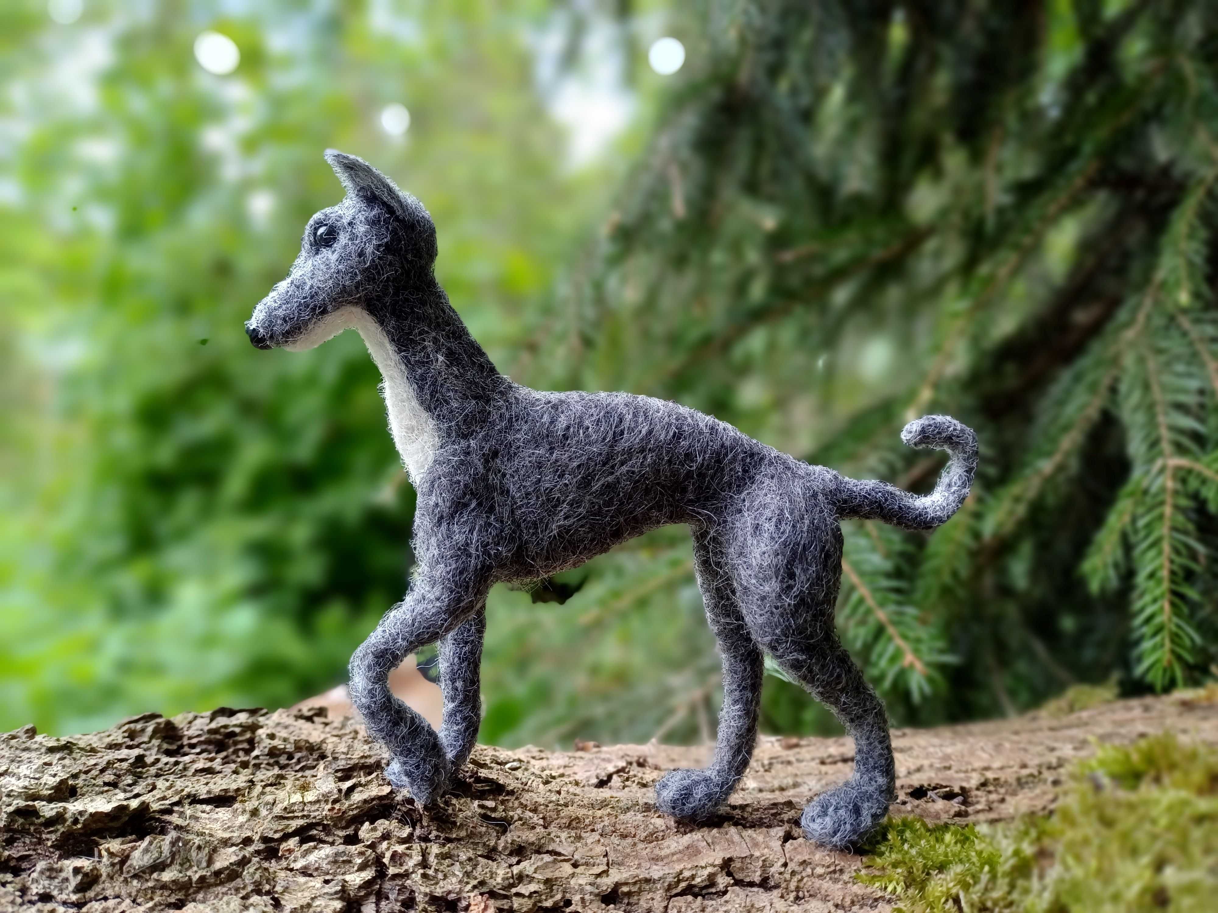 Whippet, chart włoski filcowana figurka psa