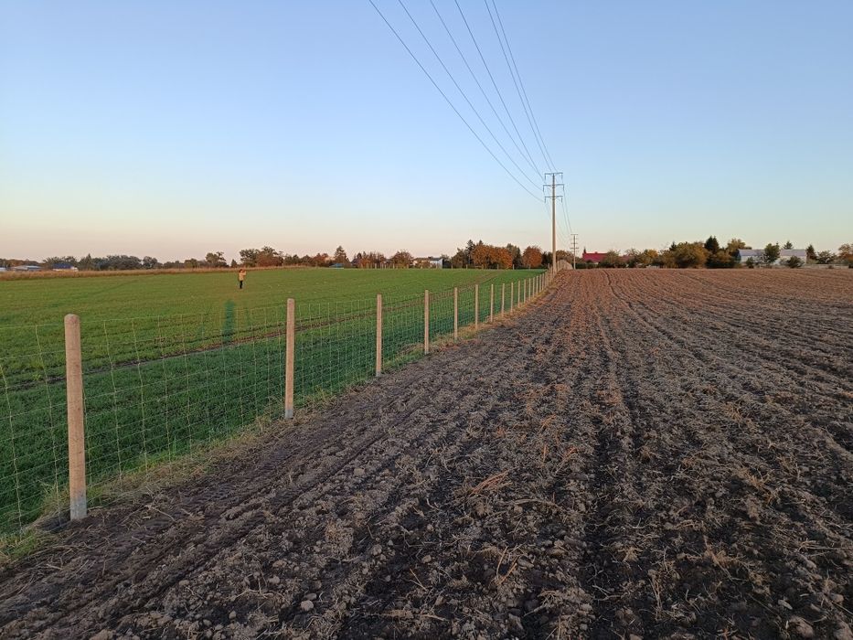 Ogrodzenia tymczasowe słupek betonowy drewniany metalowy  siatka leśna