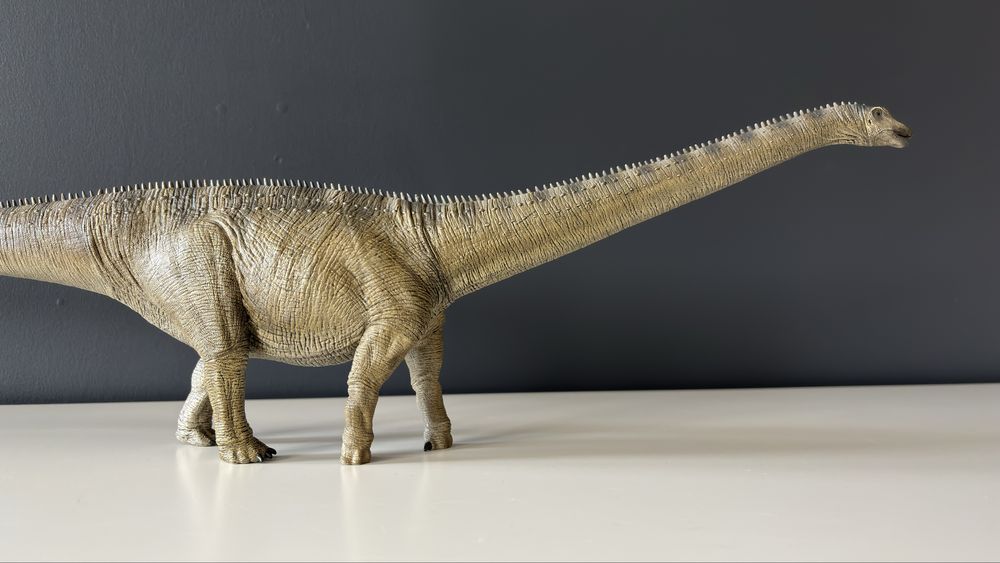 REBOR (model dinozaura) - Diplodocus