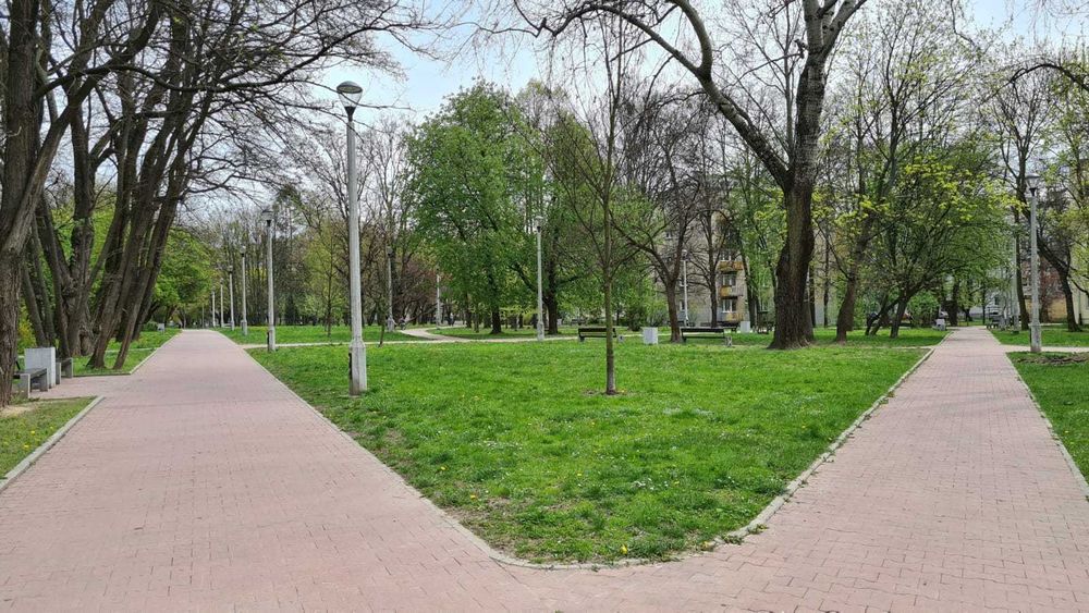 Do wynajęcia kawalerka przy Parku na os. Spółdzielczym