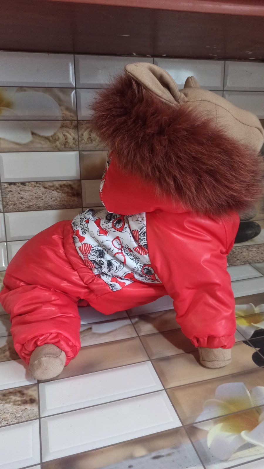Одежда для собак
