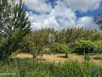 Terreno em Maiorga de 1020,00 m2