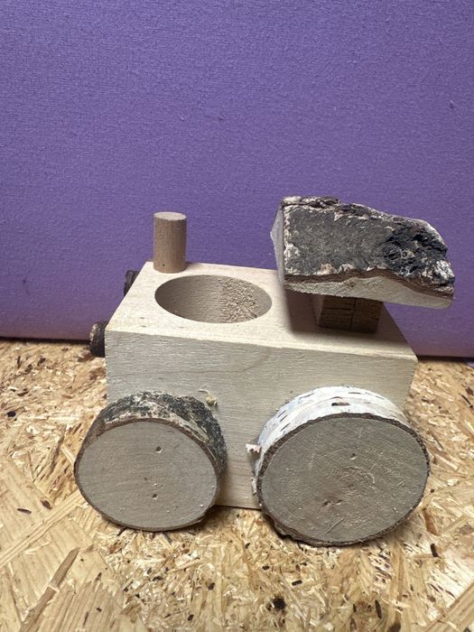 Chomik- ciuchcia z drzewa brzozowego