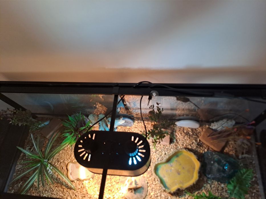 Terrarium jak nowe