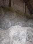 Sprzedam siano w belach 160