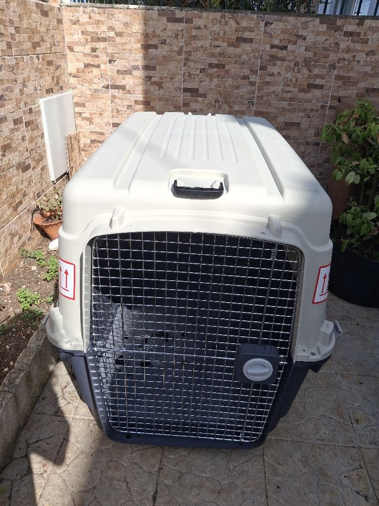 Caixa transporte cão  xxl