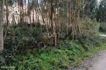 Terreno de 7100m² no Cabeço do Seixo – Caldas da Rainha