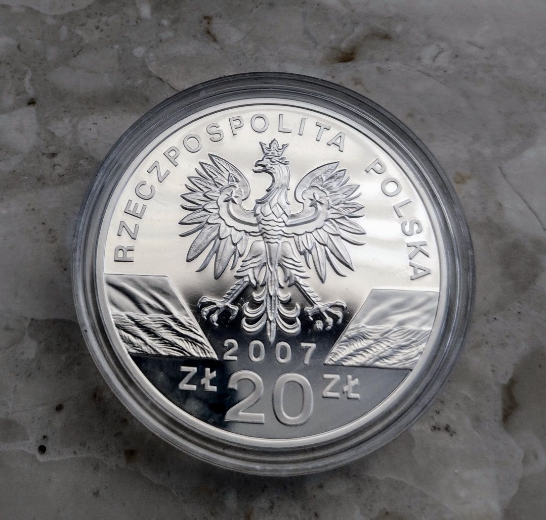 Moneta 20 zł Foka szara 2007 r