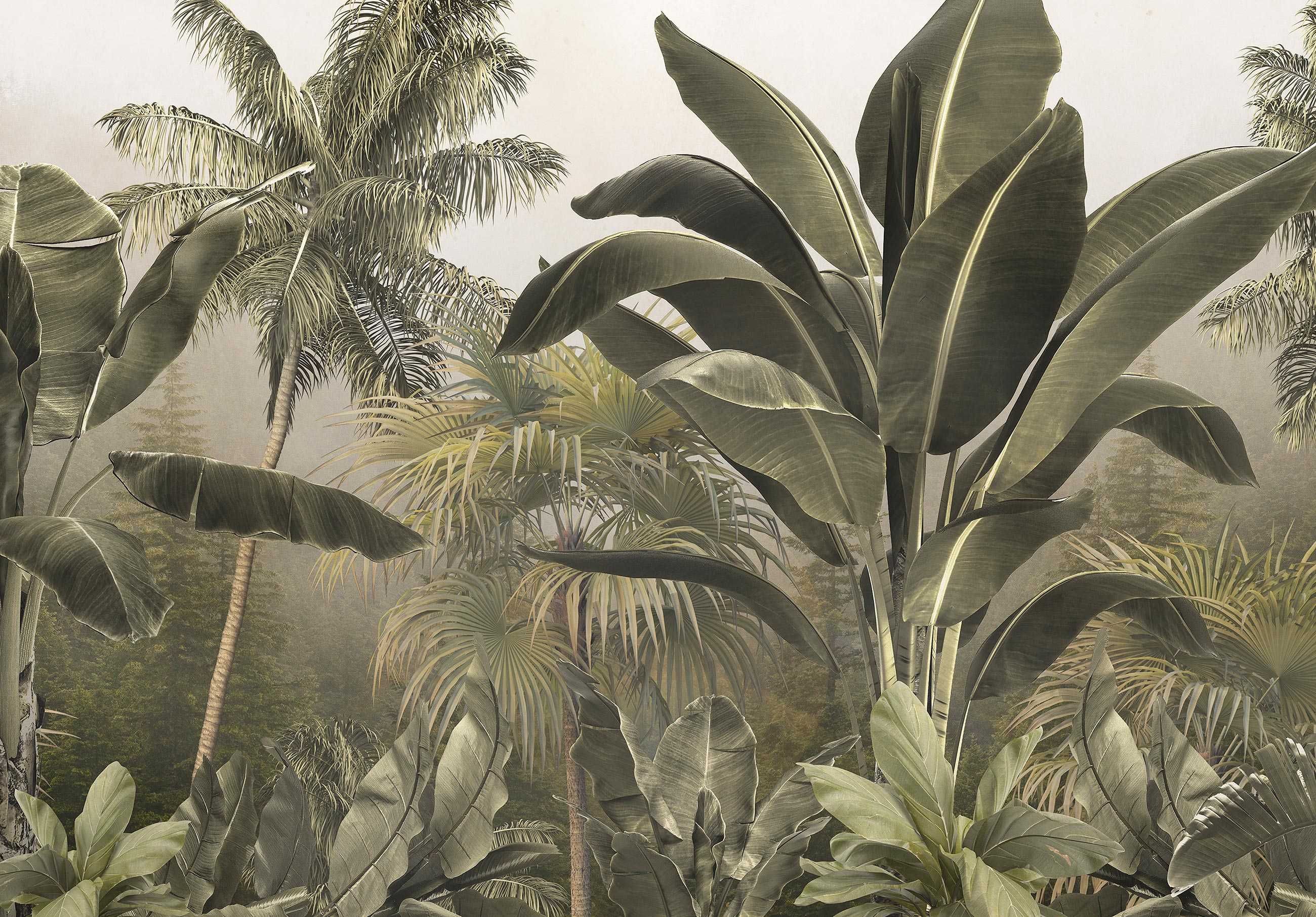 Fototapeta Liście Dżungla Rośliny Natura 3D Twój Rozmiar + KLEJ