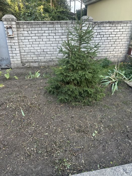 Оренда будинку рйон пр , Гагарина 3 кімнати