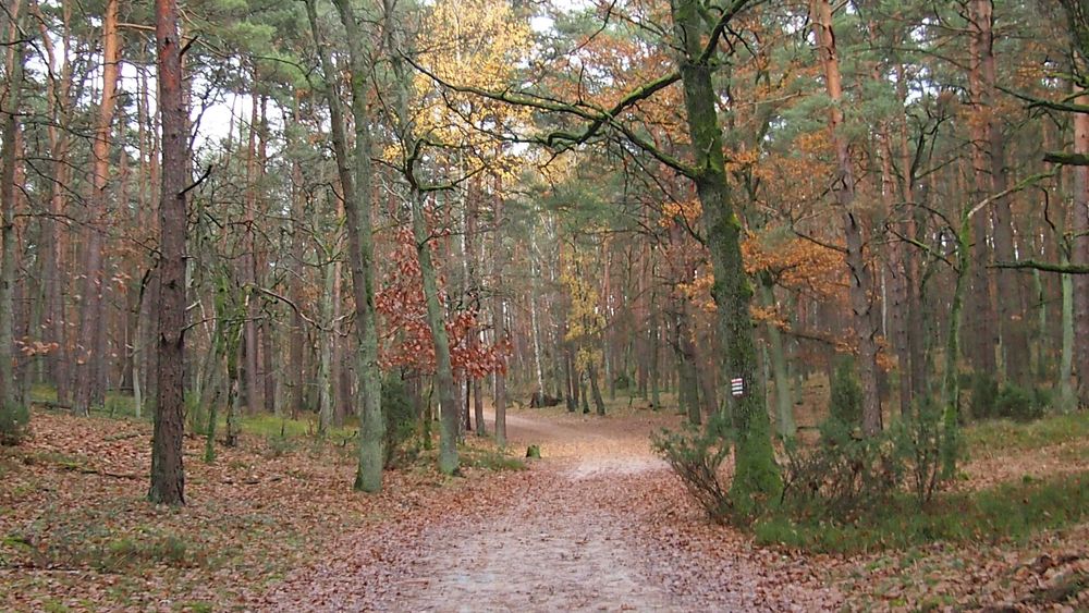 Obiektyw (nalesnik) Panasonic 12-32mm/3,5-5,6 Mega OIS - do MFT/M43