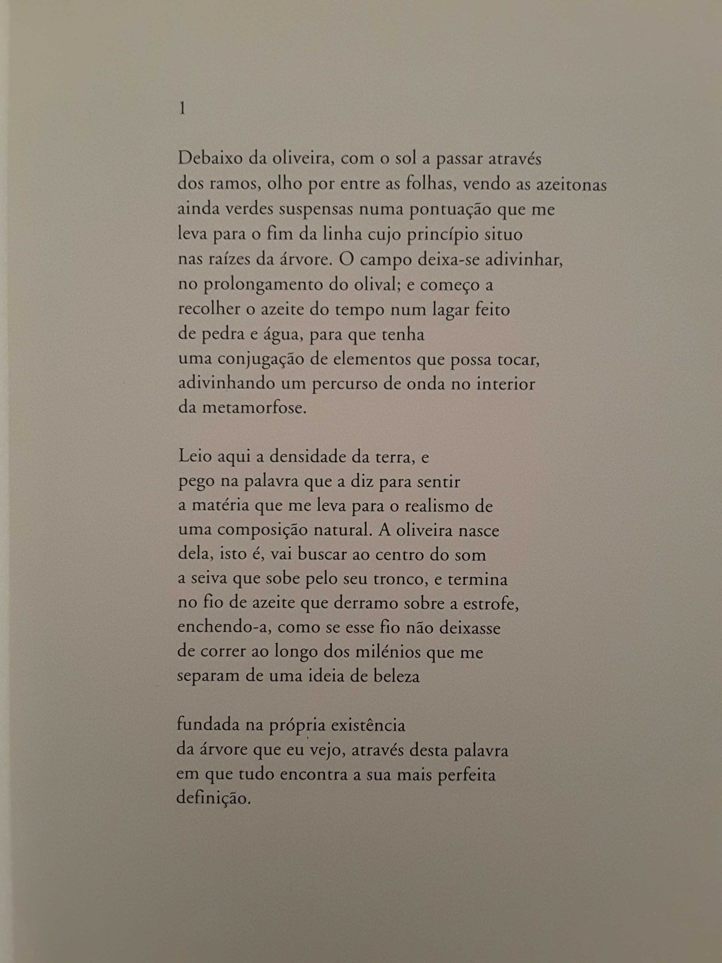 Vasco Graça Moura: Poesia / Nuno Júdice: Geografia do Caos (Algarve)