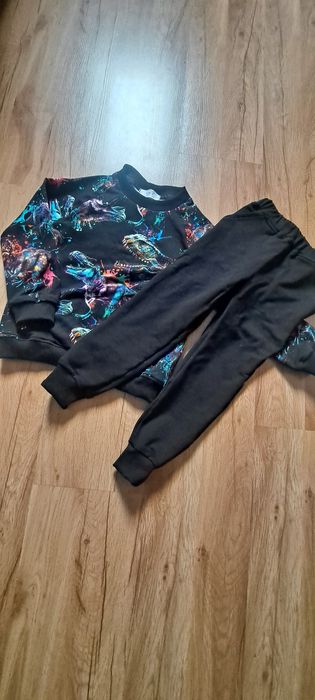 Zestaw dresowy w dinozaury 110