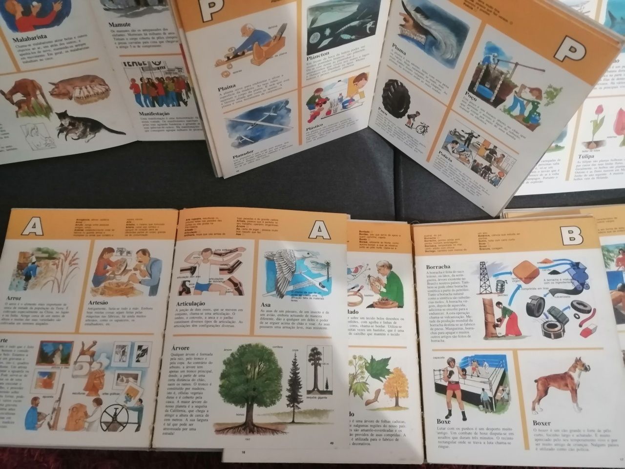 Enciclopédia infantil composto por sei livros