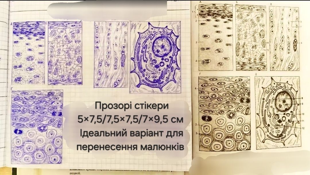 Прозорі стікери для нотаток в книгах