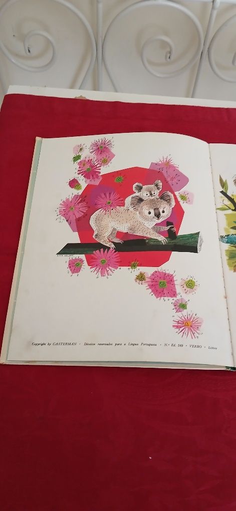 O Koala Lalá da Verbo Infantil