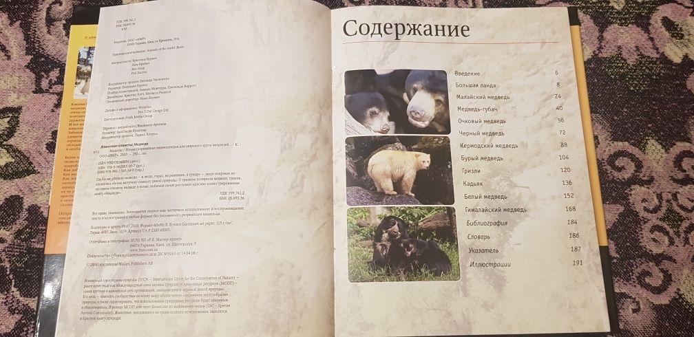 Книга Животные планеты Энциклопедия Медведи Кристина Курвен