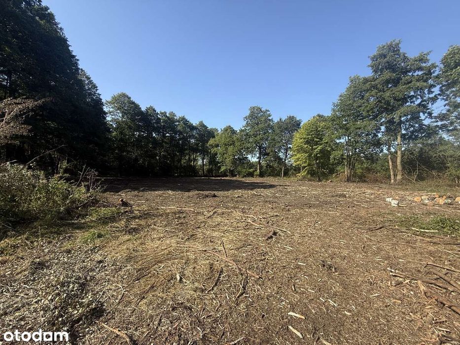 Adamów-wieś, 6000m2, bezpośrednio