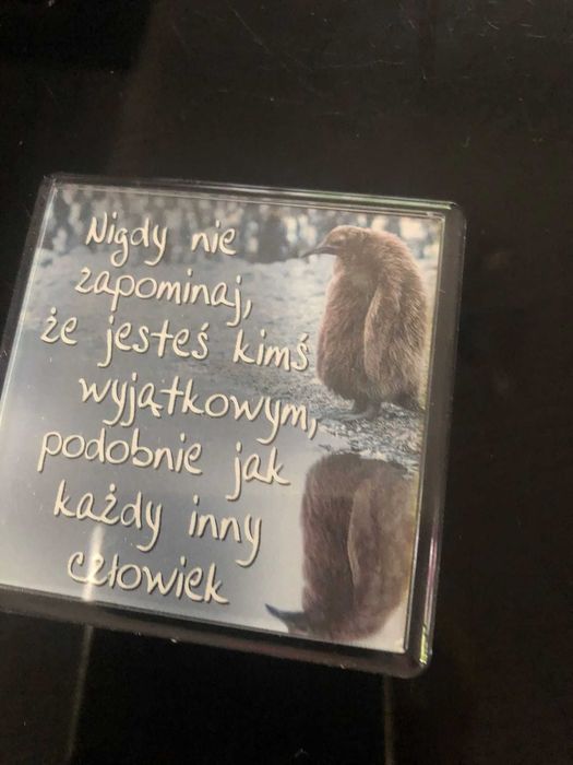 magnesy na lodówkę zestaw 11 szt