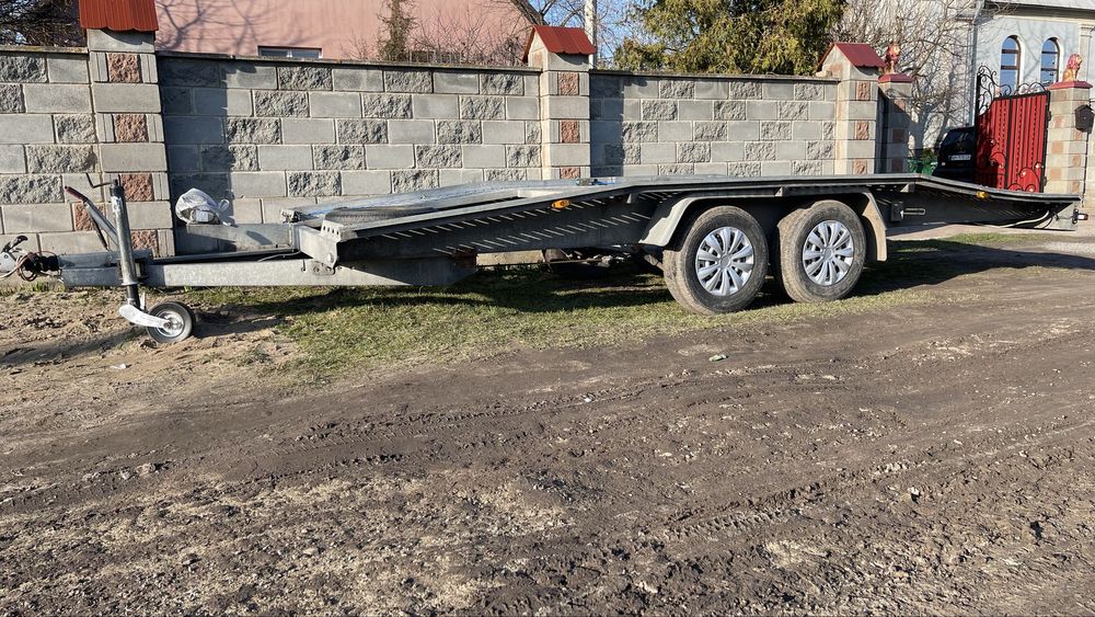 NIEWIADOW 2019р 5 м в хорошому стані