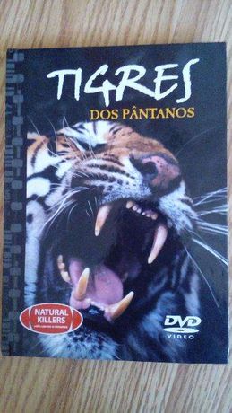 Tigres dos Pântanos: Livro+DVD