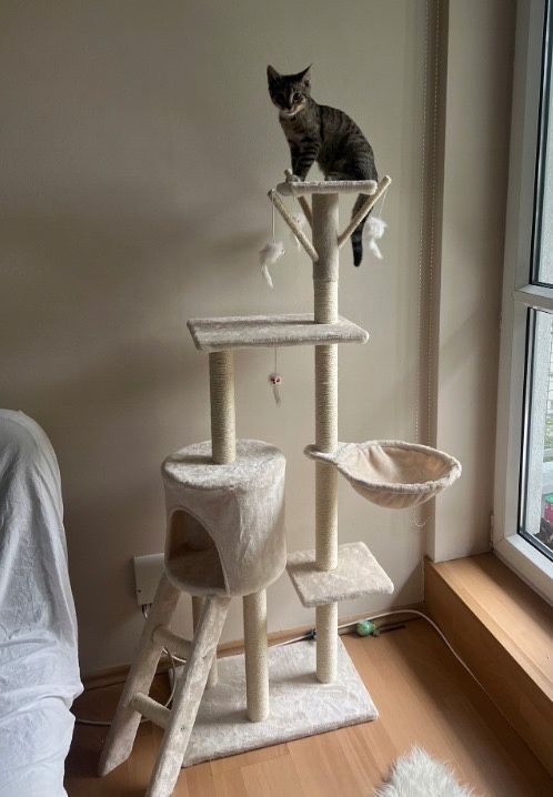Drapak dla kota 5 poziomów drzewko domek wielofunkcyjny