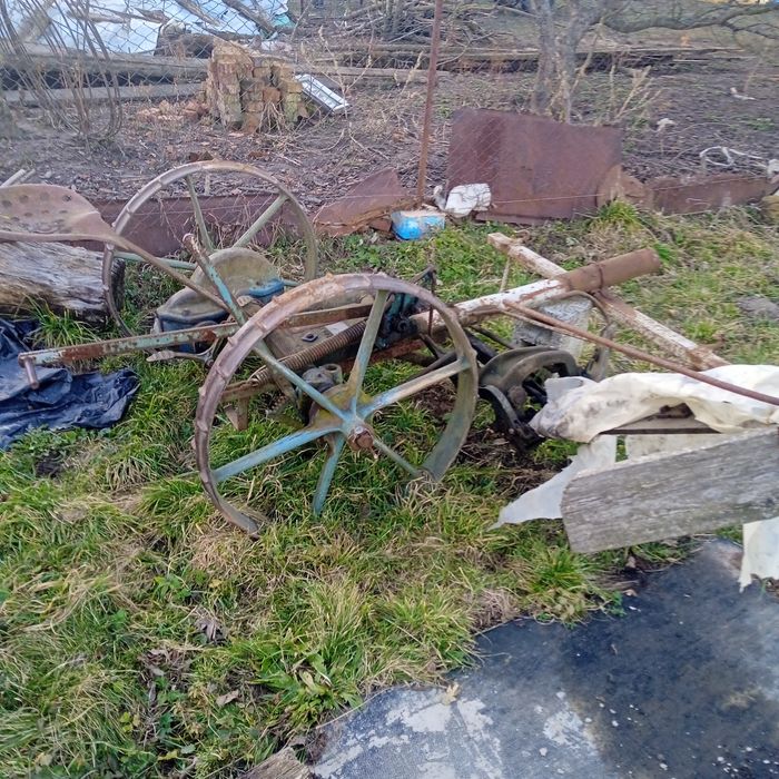 Косарка кінська хороша