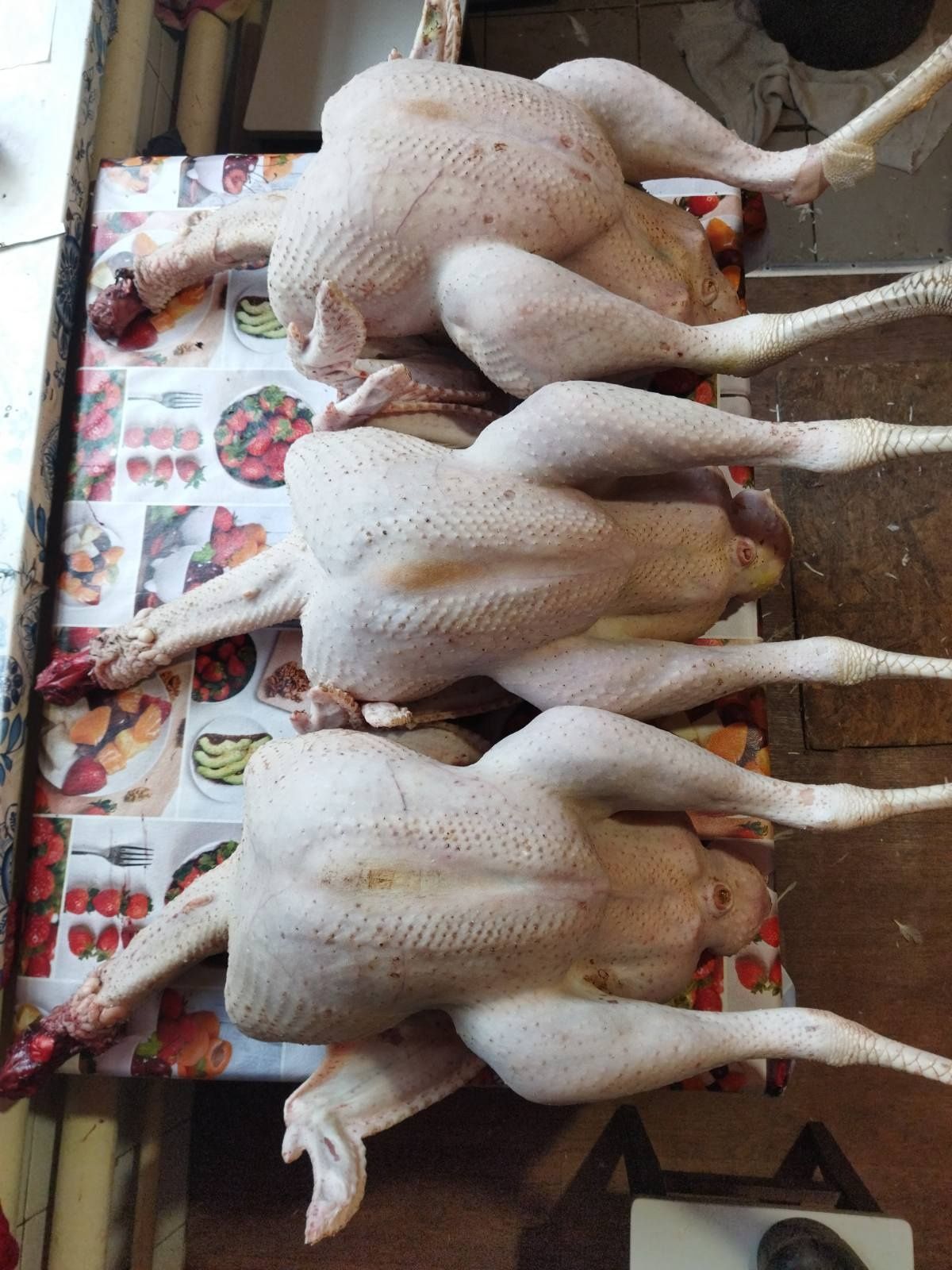 Продам мясо домашнего индюка