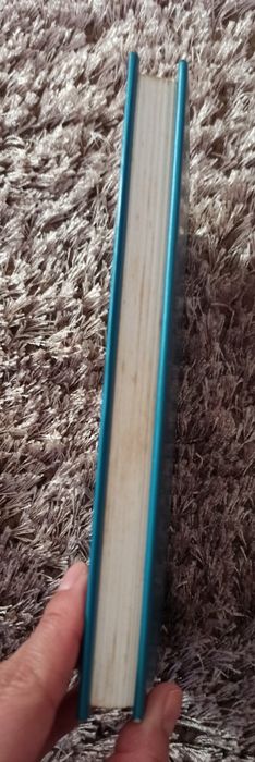 A Fraude , Rui Miguel Saramago