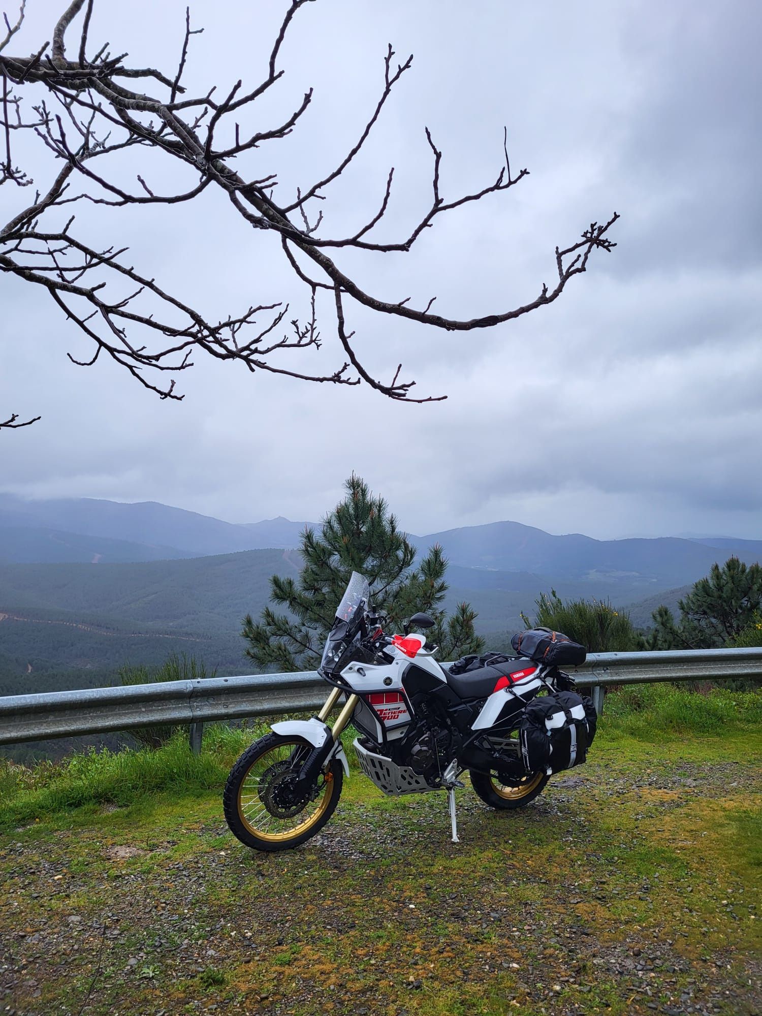 Yamaha Tenere 700 Rally + Full Extras