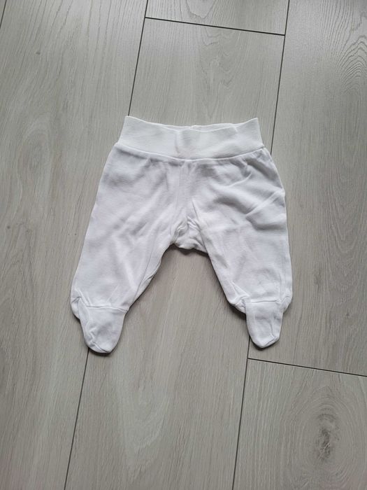 półśpiochy r. 56, pepco