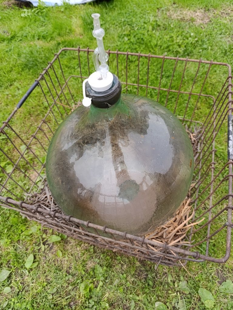 Szklany Gąsior 5L, 10L, 34L