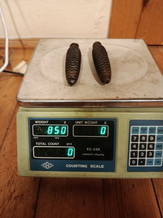 Wagi do zegara z kukułką szyszki 2szt odważniki