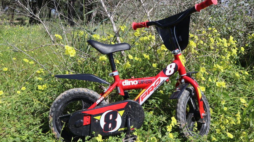 Bicicleta Infantil