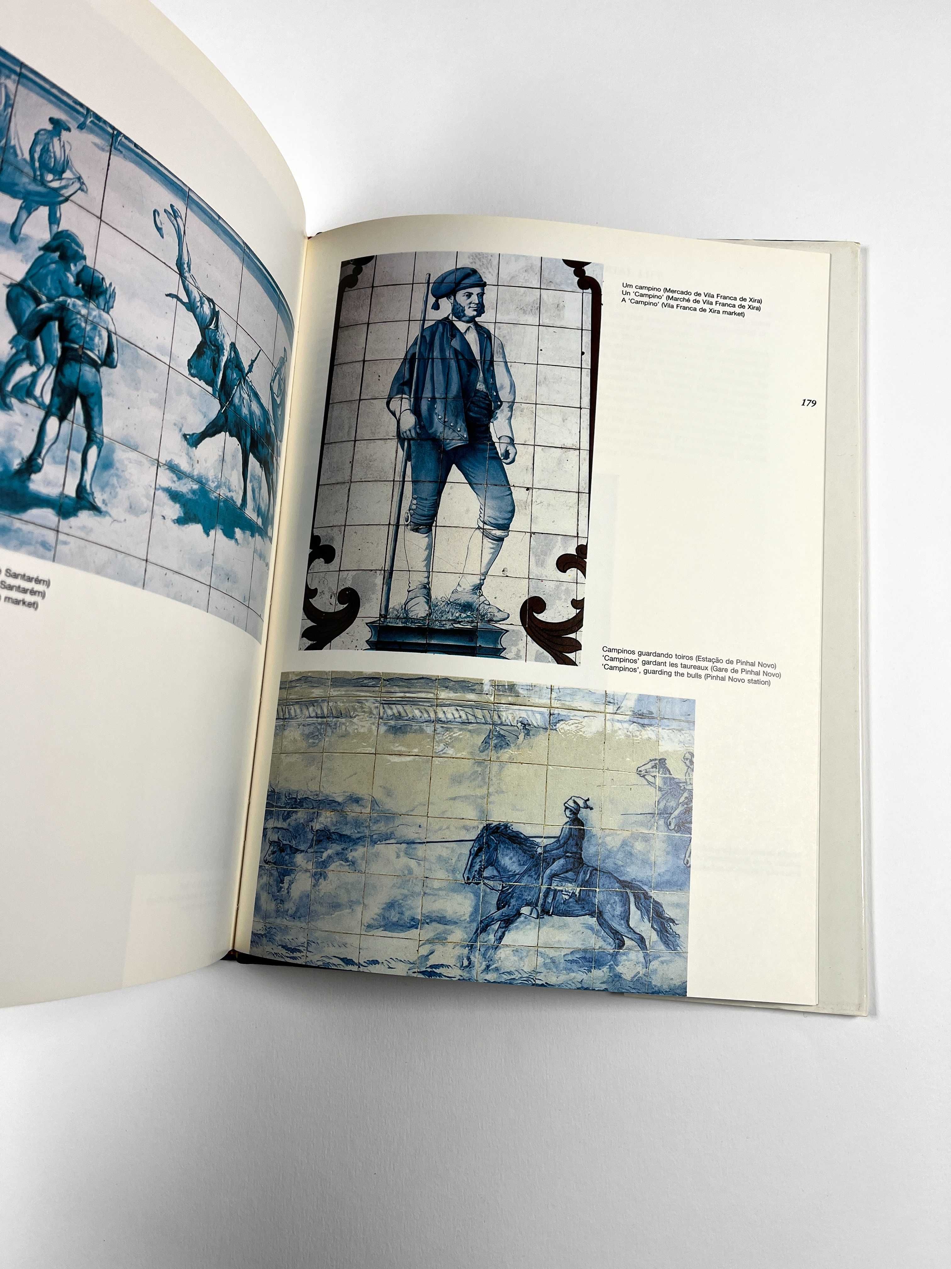 Painéis de Azulejos no Século XX Imagens da Vida Portuguesa 1987