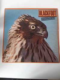 Blackfoot, "Marauder" lp 1981r. USA