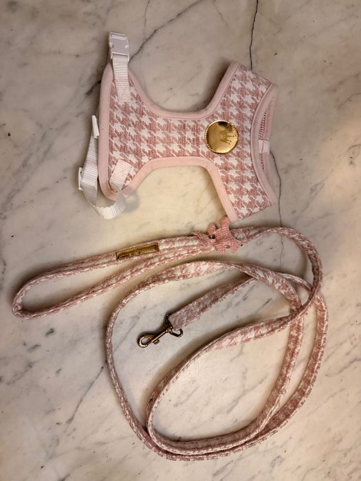 Royal Puppy Ferline szelki bezuciskowe M + smycz