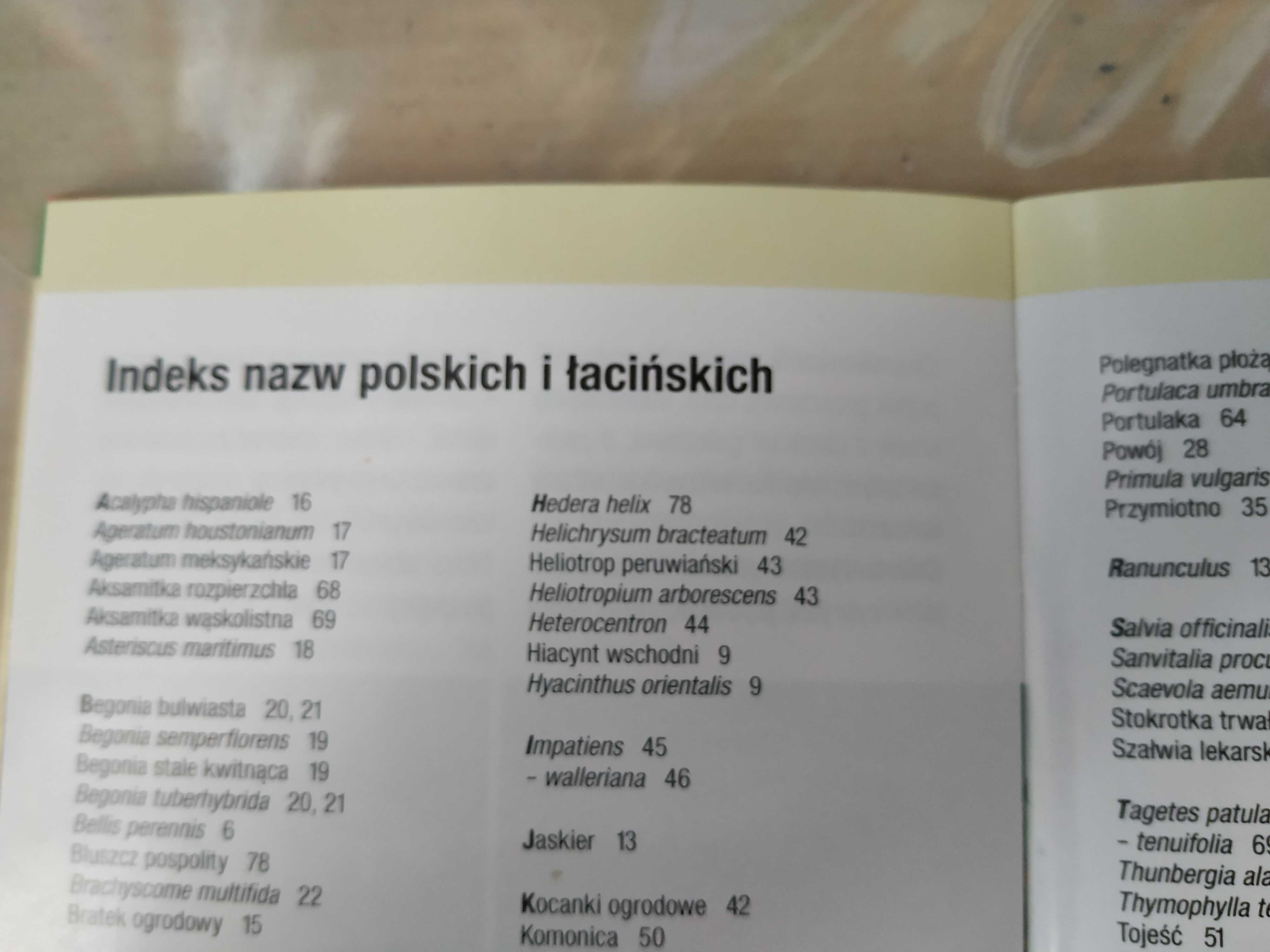 Rośliny balkonowe – przewodnik kieszonkowy – Ernst Deiser