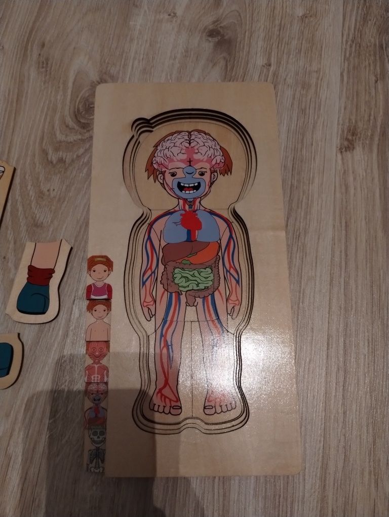 Drewniane puzzle ciało człowieka - wersja dziewczynka