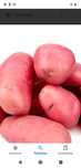 Batatas vermelhas 0,60