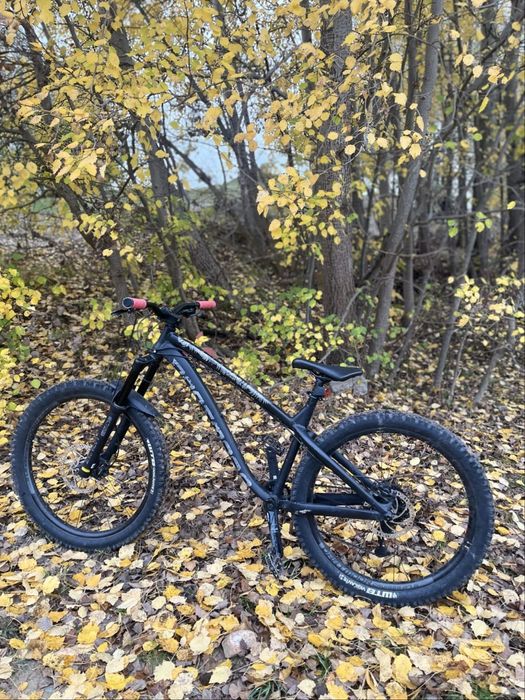 Dartmoor Hornet 2020 rama L