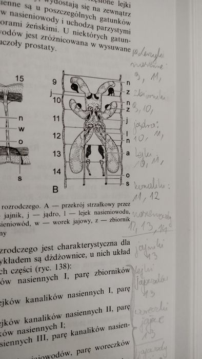 Czesław Jura Bezkręgowce