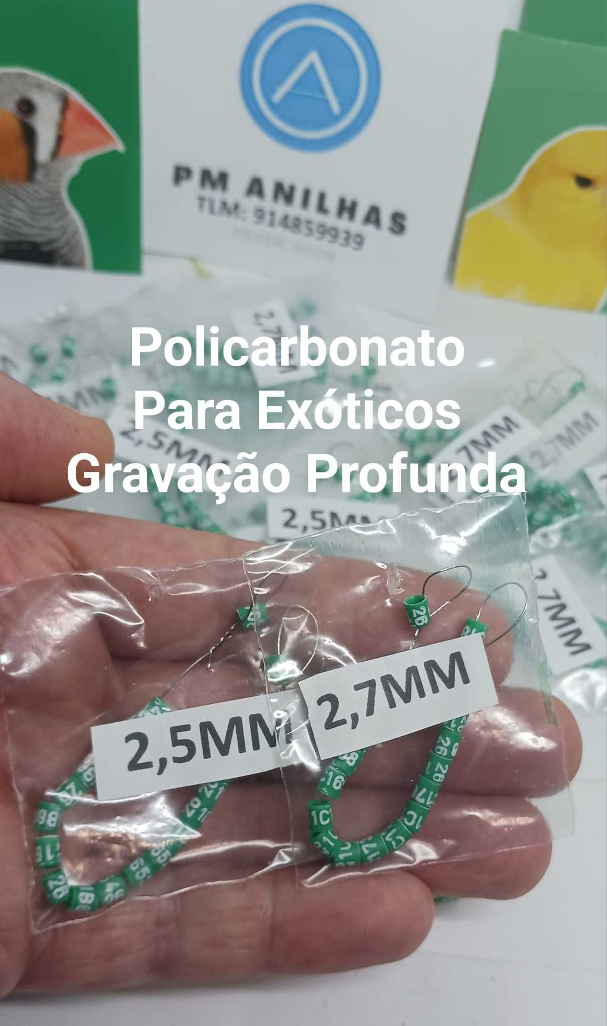 Anilhas Ano 2026 Exóticos