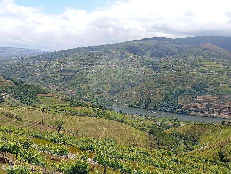 Terreno  para venda