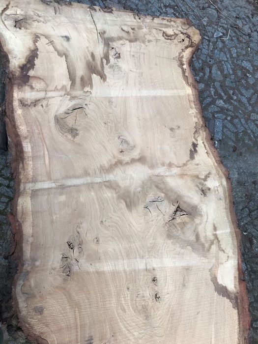 Blat lity monolit foszty blochy dębowy i inne