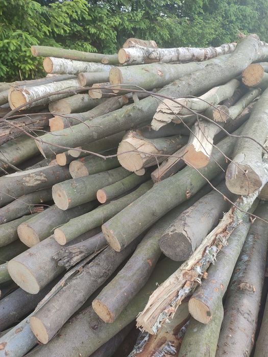 Drewno opałowe lisciaste