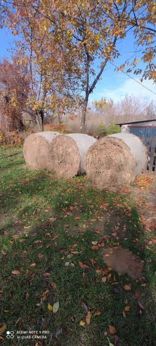 Солома в тюках урожай 2025 року.